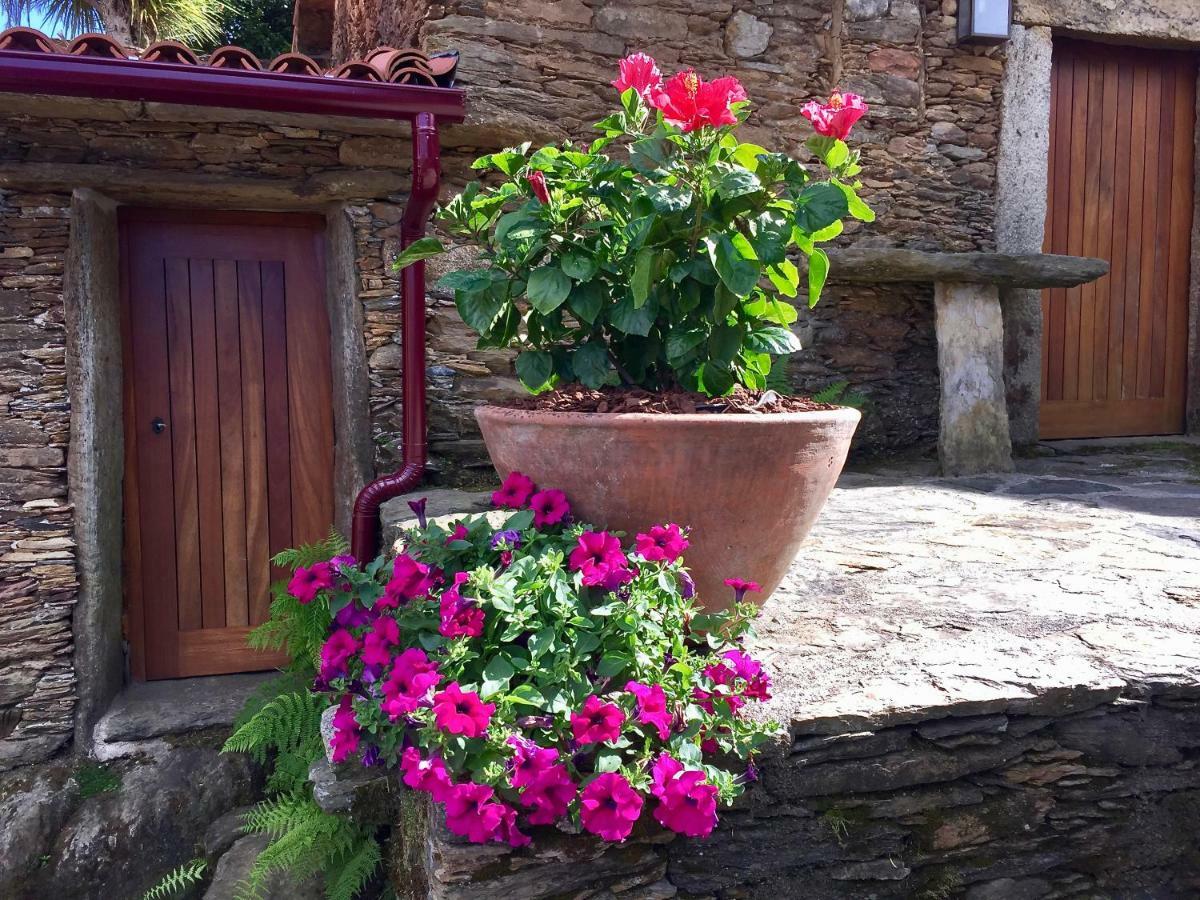 Vila Casa Lia Da Porta Caminha Exteriér fotografie