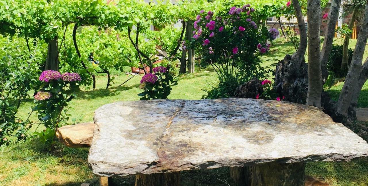 Vila Casa Lia Da Porta Caminha Exteriér fotografie